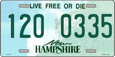 NH license plate 1200335