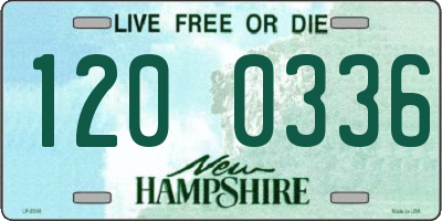 NH license plate 1200336
