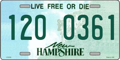 NH license plate 1200361