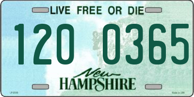 NH license plate 1200365