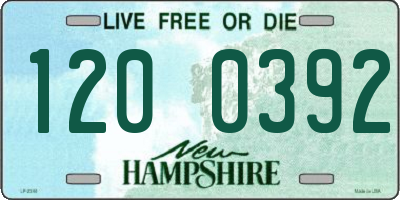 NH license plate 1200392