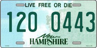 NH license plate 1200443