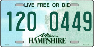 NH license plate 1200449