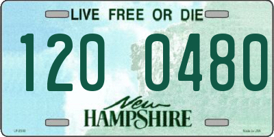 NH license plate 1200480