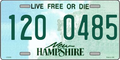 NH license plate 1200485