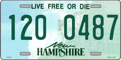 NH license plate 1200487