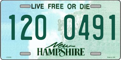 NH license plate 1200491