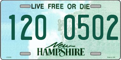 NH license plate 1200502