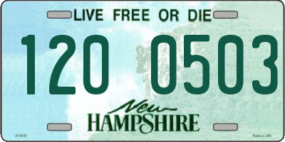 NH license plate 1200503