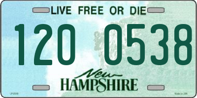 NH license plate 1200538