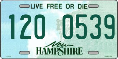 NH license plate 1200539