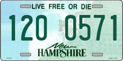 NH license plate 1200571
