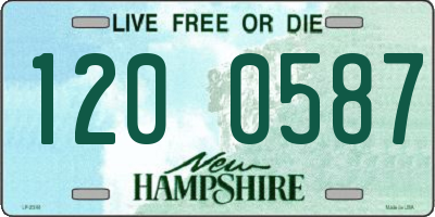 NH license plate 1200587