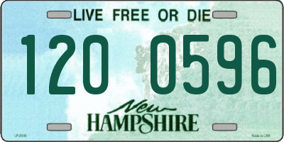 NH license plate 1200596