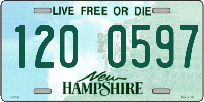 NH license plate 1200597