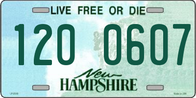 NH license plate 1200607