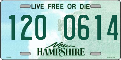 NH license plate 1200614