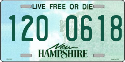 NH license plate 1200618