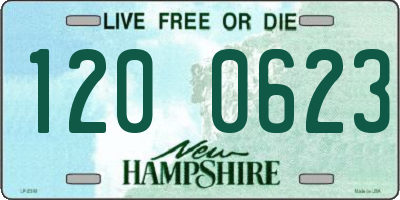 NH license plate 1200623