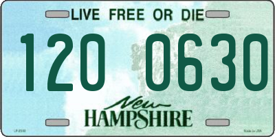 NH license plate 1200630