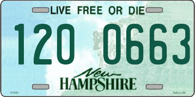 NH license plate 1200663