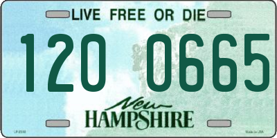 NH license plate 1200665