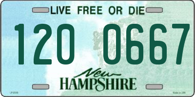 NH license plate 1200667