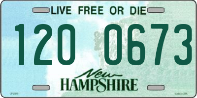NH license plate 1200673