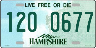 NH license plate 1200677