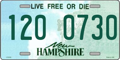 NH license plate 1200730