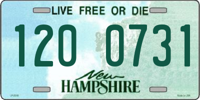 NH license plate 1200731
