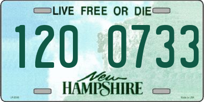 NH license plate 1200733