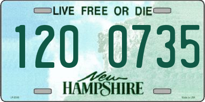 NH license plate 1200735