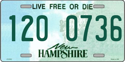 NH license plate 1200736