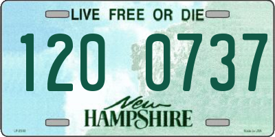NH license plate 1200737
