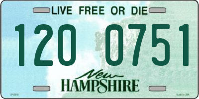 NH license plate 1200751