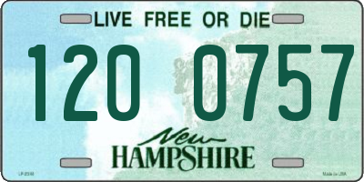 NH license plate 1200757