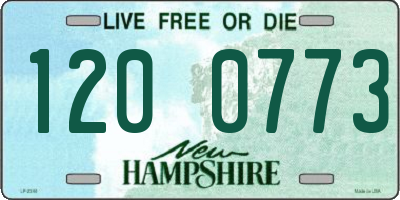 NH license plate 1200773