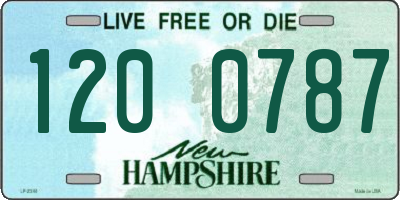 NH license plate 1200787