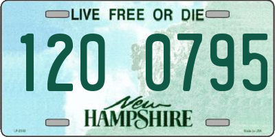 NH license plate 1200795