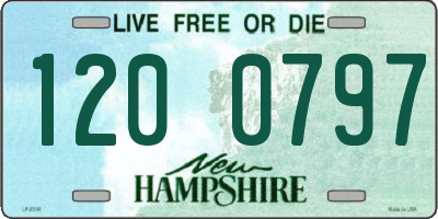 NH license plate 1200797