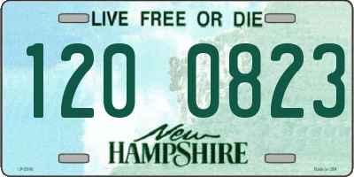 NH license plate 1200823