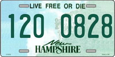 NH license plate 1200828