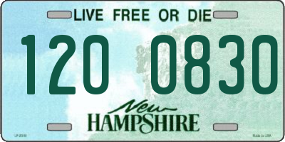 NH license plate 1200830