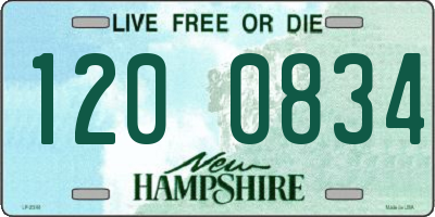 NH license plate 1200834