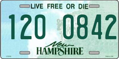NH license plate 1200842