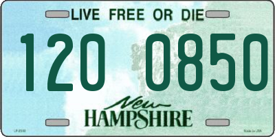 NH license plate 1200850