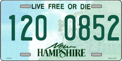 NH license plate 1200852
