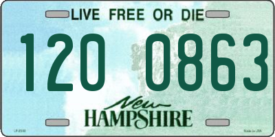 NH license plate 1200863