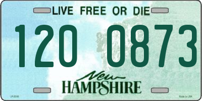 NH license plate 1200873